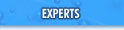 Experts